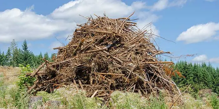 Slash pile post timber harvest, feedstock for Myno Carbon Removal Facilities