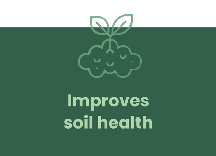 Improves soil health