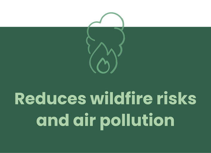 Reduces wildfire risks and air pollution