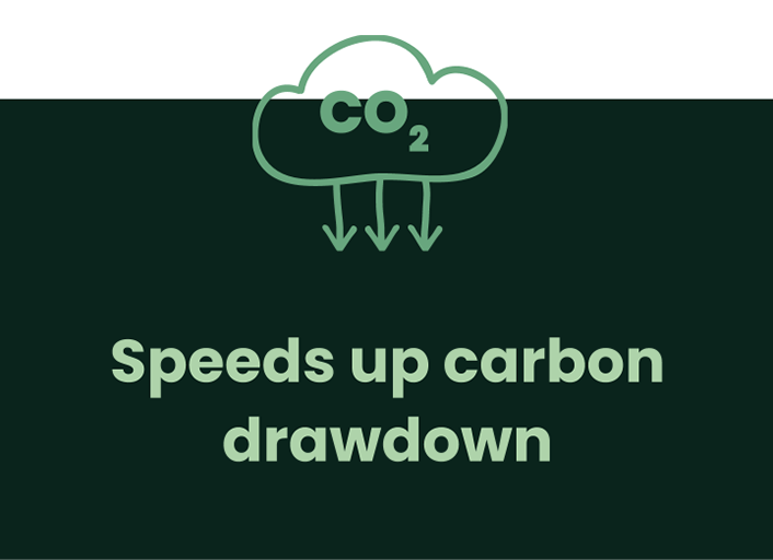 Speeds up carbon drawdown