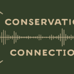 The Conservation Connection Podcast - Lauren Breynaert