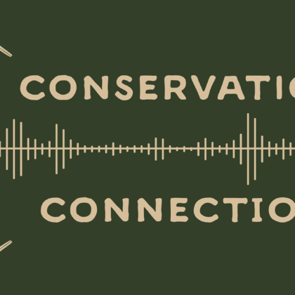 The Conservation Connection Podcast - Lauren Breynaert