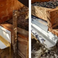 Image shows the mine surface runoff from a plot with and without biochar amended into the soil. The plot to the right was amended with biochar and shows a cleaner surface runoff.