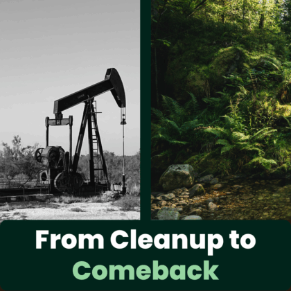How Carbon-Negative Remediation Unlocks Land Value