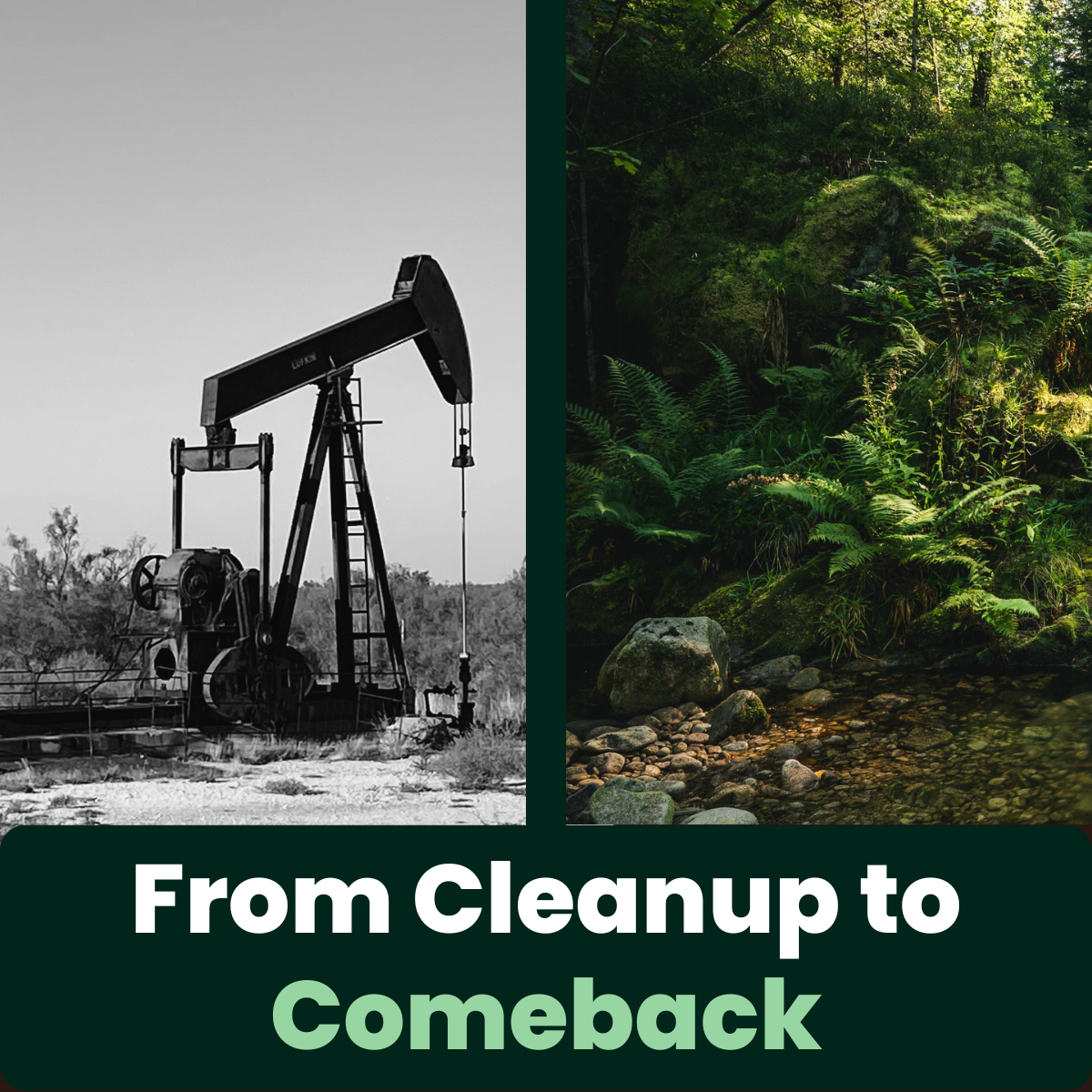 How Carbon-Negative Remediation Unlocks Land Value